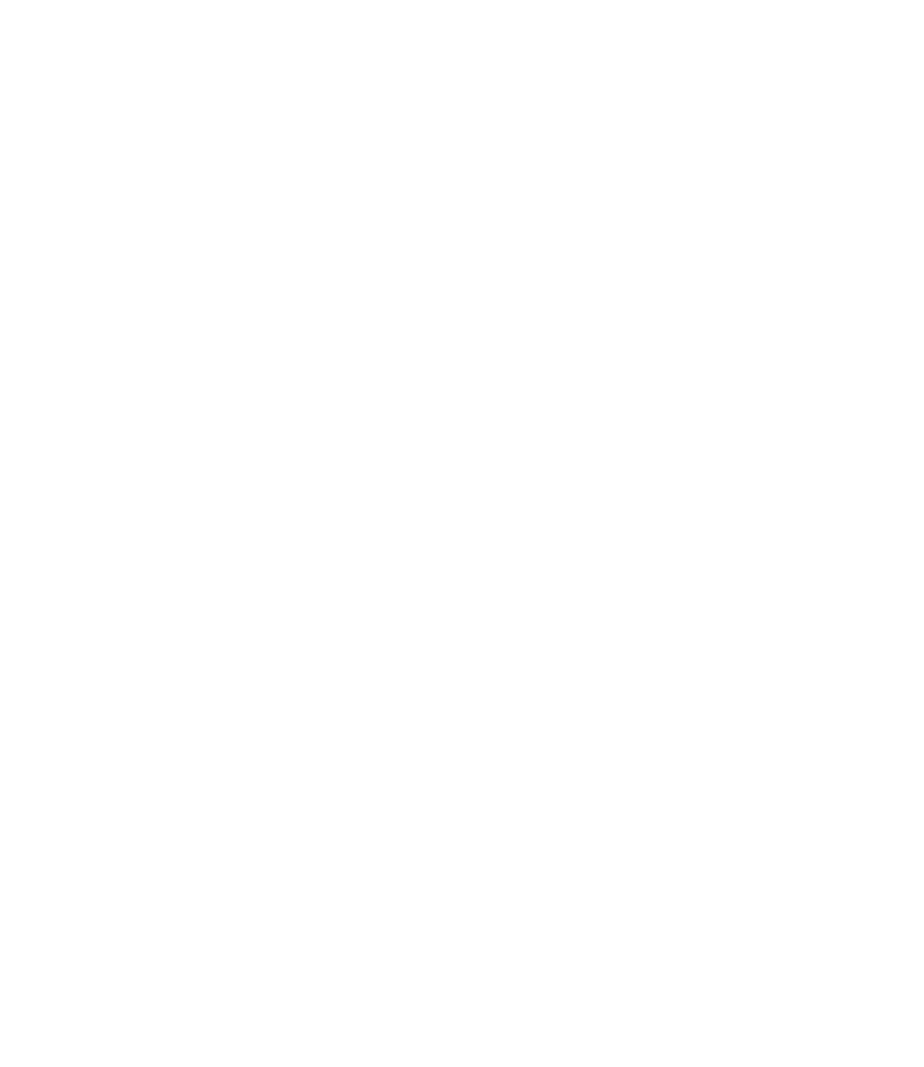 TikTok icon
